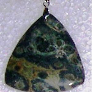 AB 007