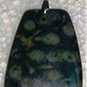 AB 019