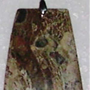 AB 021