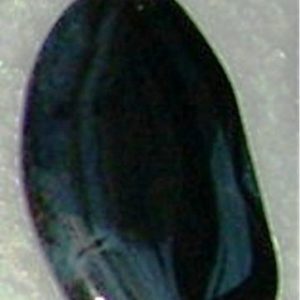 AB 028